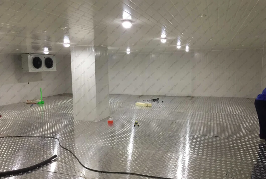 New Design PU Panel Cold Room Storage Room