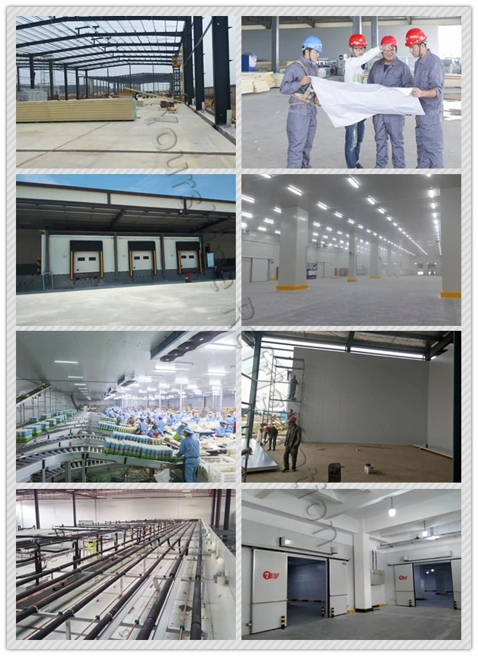 High Density PIR Sandwich Panel for Cold Storage (Food, Meat, fruit)