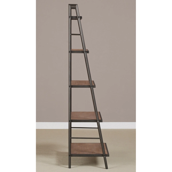 Metal Storage Shelf/ Ladder Shelf/ Book Shelf