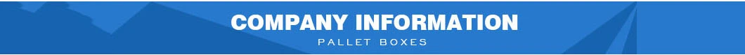 Heavy Duty HDPE Plastic Shuttle Bin Pallet Bin for Sale