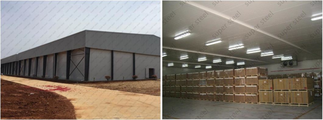 High Density Cam Lock Cold Storage Room for Vegetable