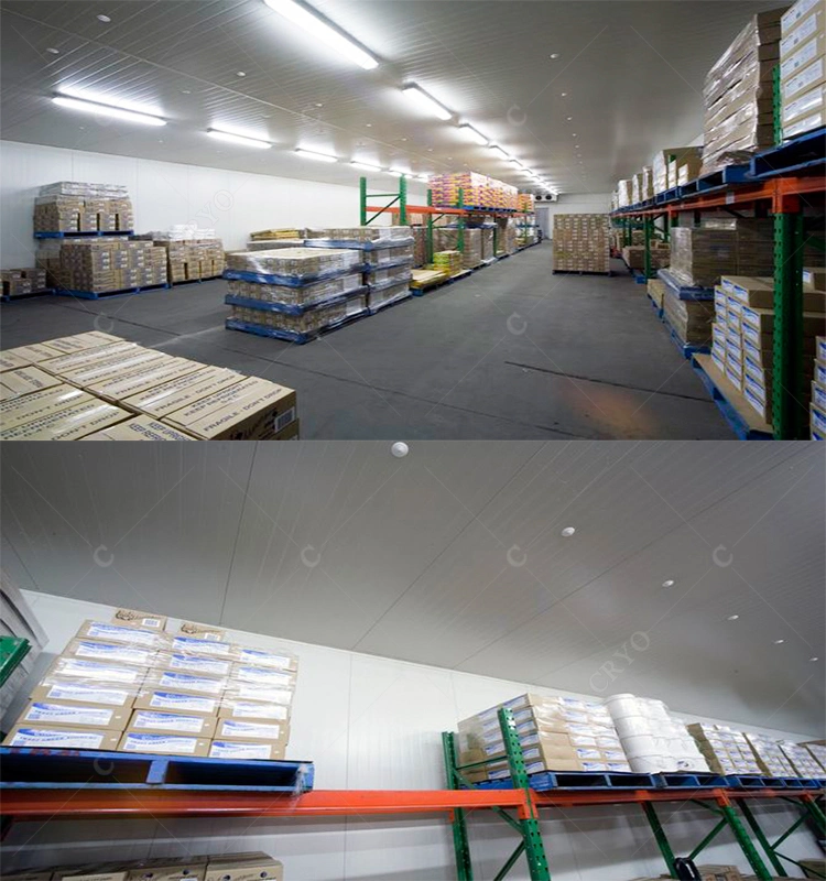 Frozen Squid Ring Requirements for Cold Storage Warehouse Refrigerated Storage Facilities Refrigerated Storage Facilities