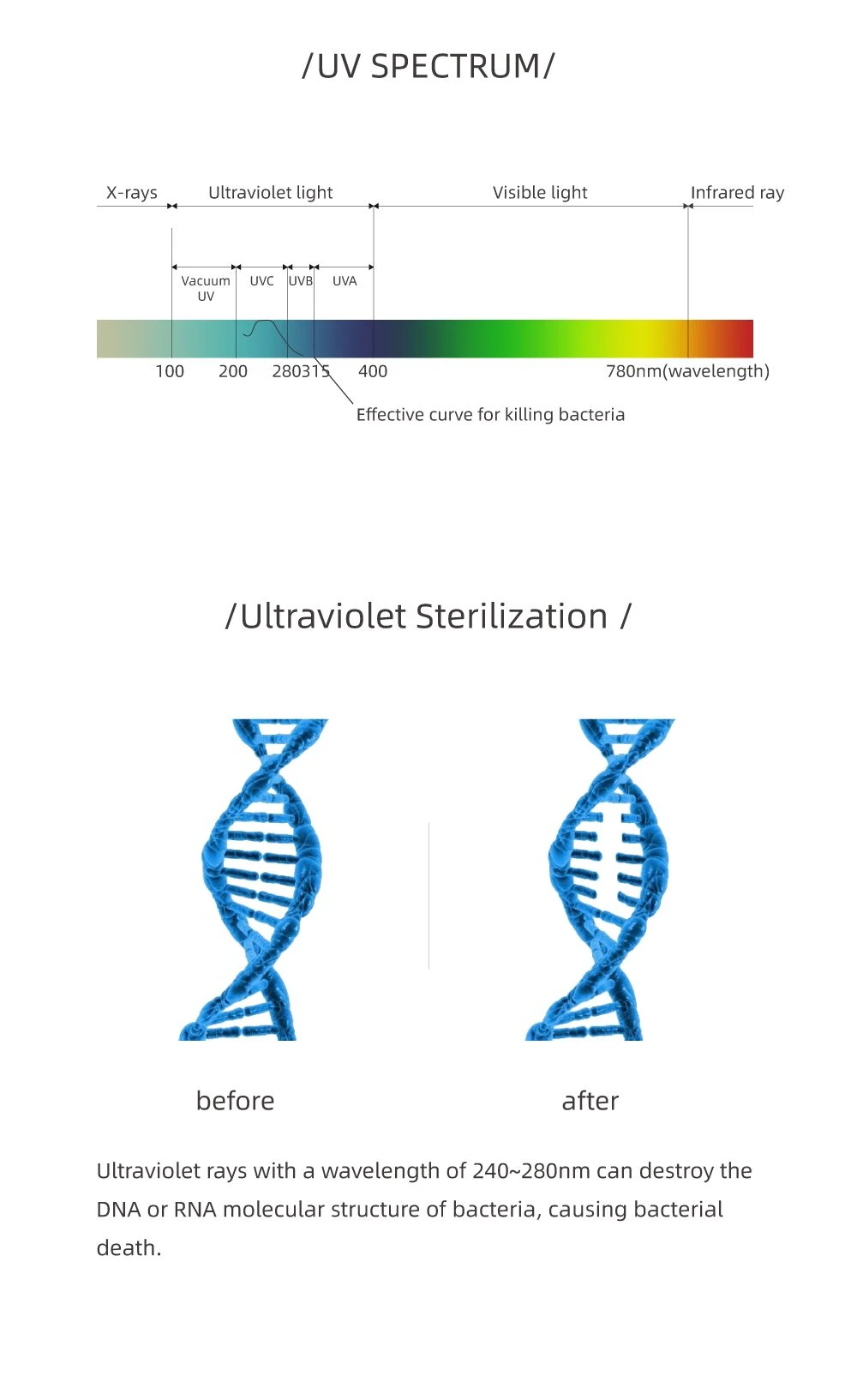 Electronic UVC Room Sanitizer Maker UV Light OEM LED Lamp Disinfect-Equipment-Sterilizer