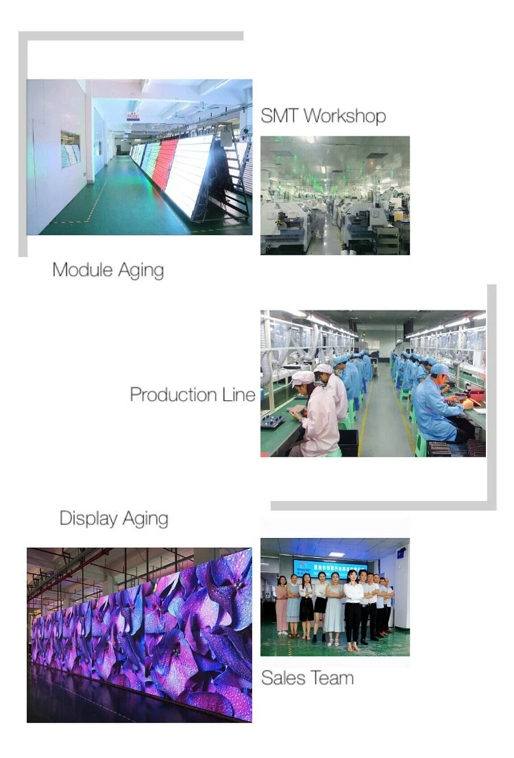 P16 Outdoor LED Display Board & 360 Degrees LED for Advertising (256*256mm)