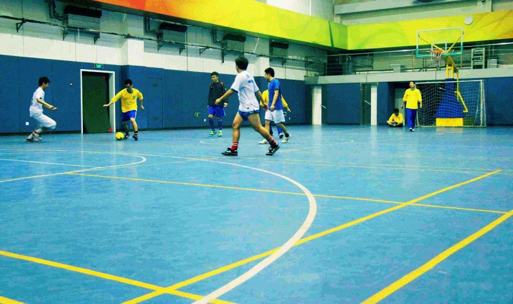 Soccer and Football Futsal Fields Used Taraflex Sports Flooring Mats
