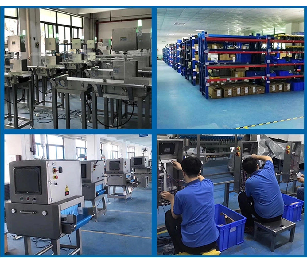 Automatic Cleaning Sorting Machine Production Line Food Processor