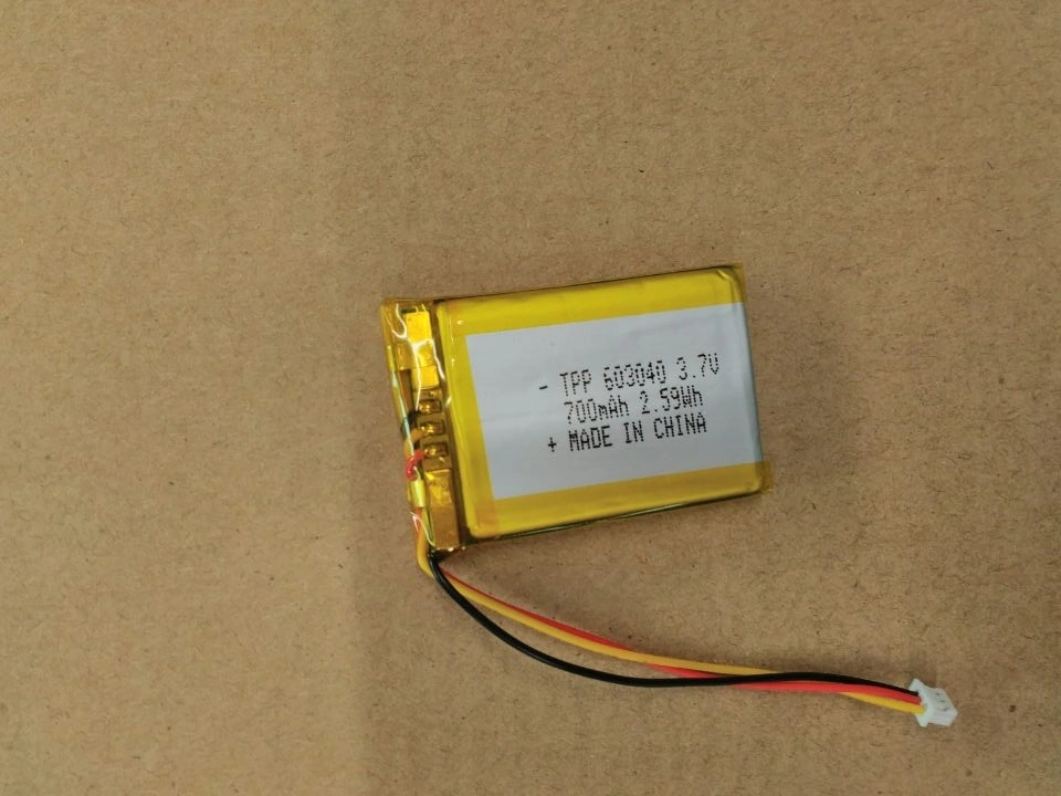 High Capacity 10ah Lithium Polymer Battery for Sweeping Robot