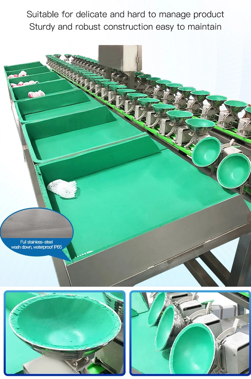 Automatic Cleaning Sorting Machine Production Line Food Processor