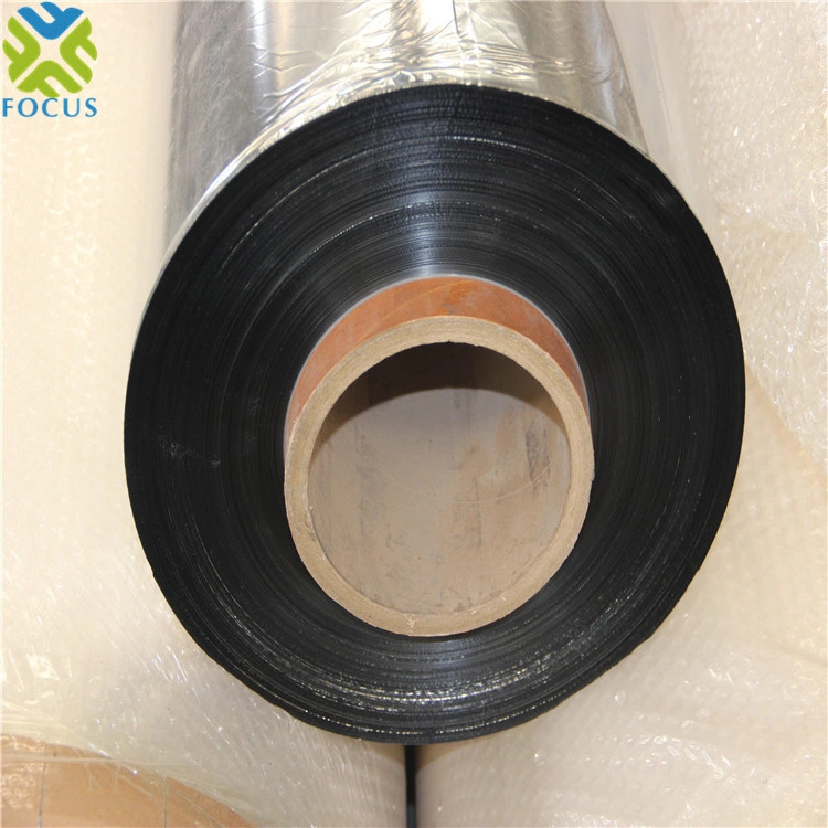 Packing Materials Pet BOPP CPP Metallized Film for Flexible Packing