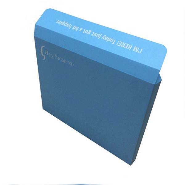 Custom Small Size Blue Printing Logo Corrugated Packaging Book Mailer Box with Adhesive Tape
