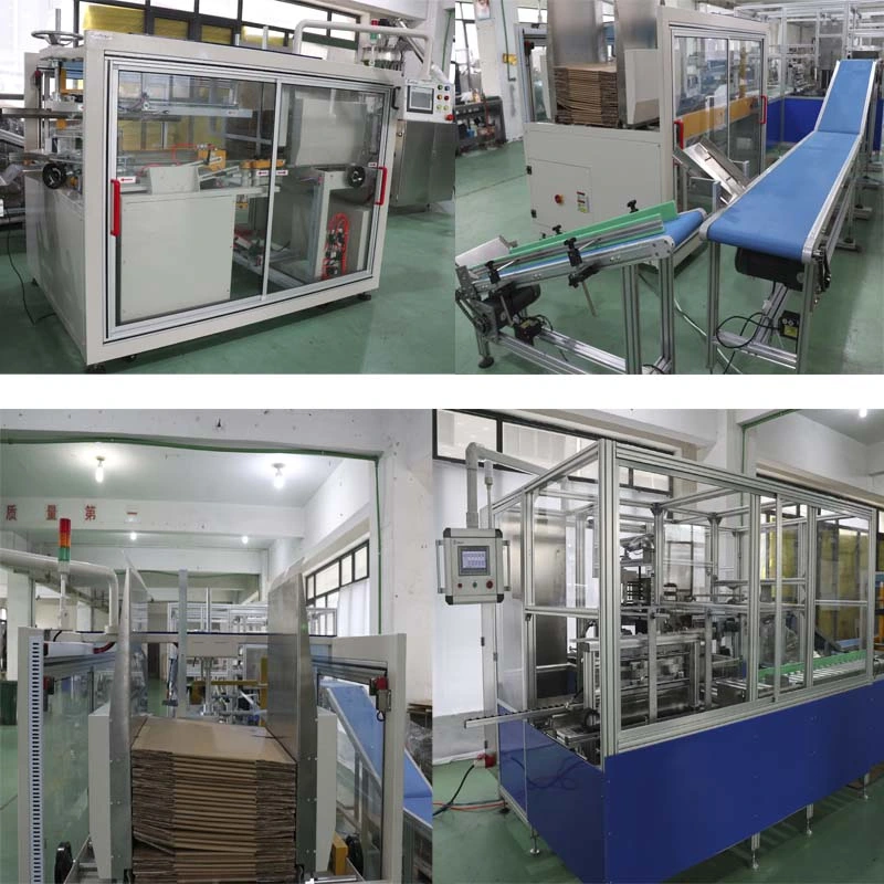 Automatic Bottom Tape Sealing Carton Case Erecting Filling Packing Sealing Machine