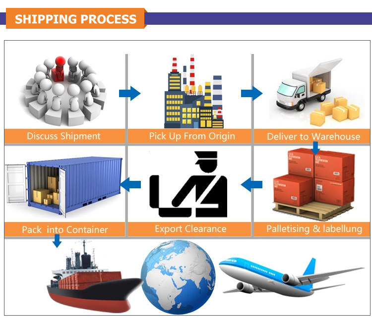 China Shipping Agent Logistics Service Sea Shipping to Saudi Arabia