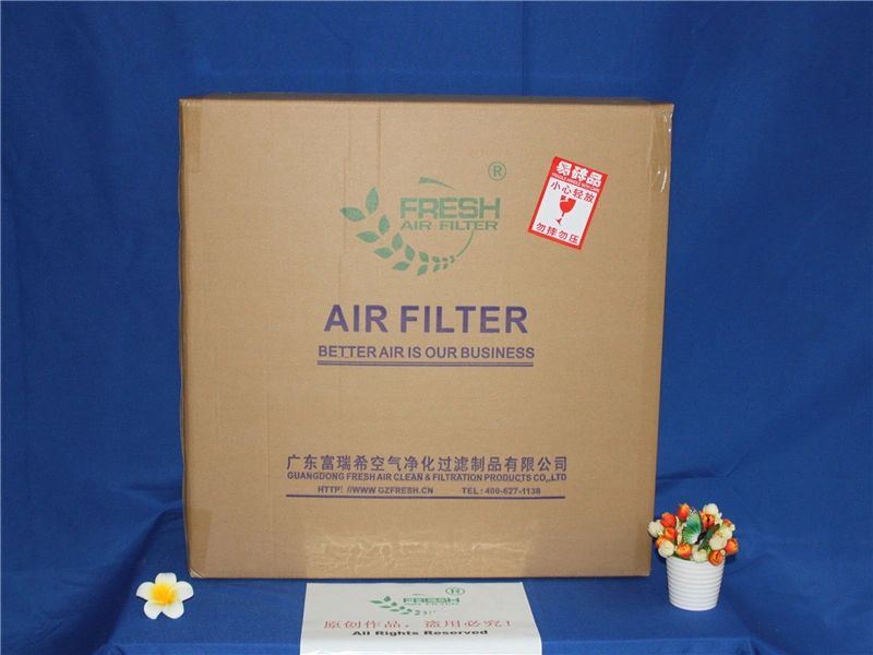 G4 Cardboard Pleat Air Filter for Ventilation