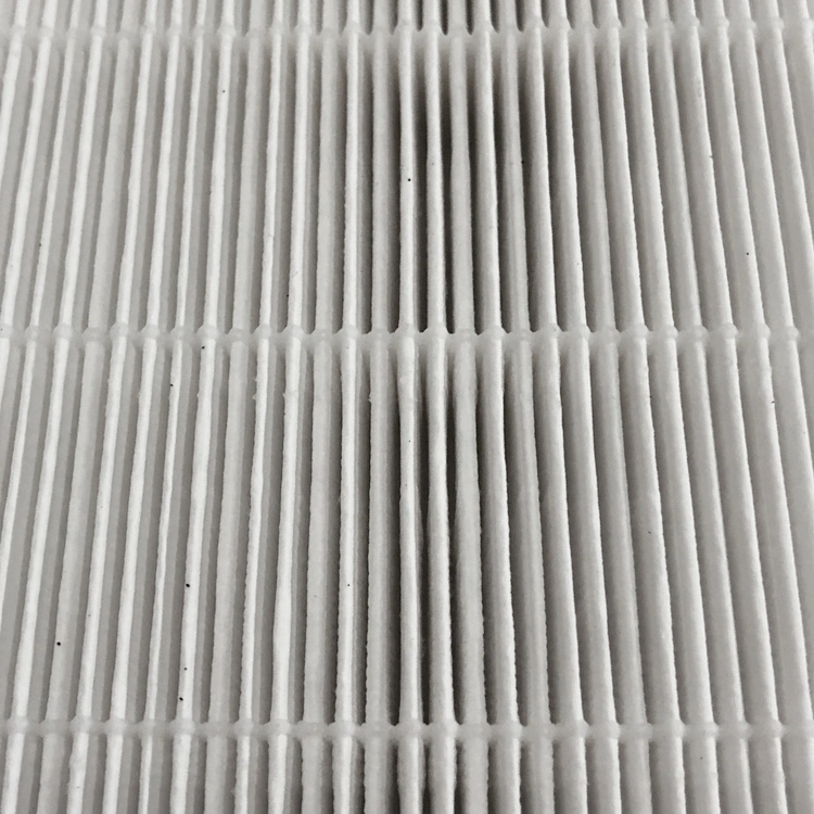 True HEPA Filters and Carbon Pre Filters for Coway Ap1512hh Air Purifiers Replace Part # 3304899