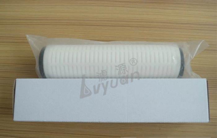 DOE 0.45 Microns PP Pleated Membrane Pleated Water Filter with Silicone EPDM Gasket