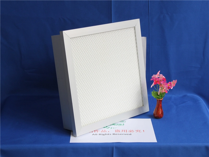 Gel Seal HEPA Filter for Pharmaceutical (manufacture)