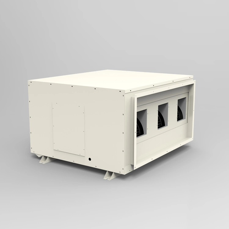 Vegetable Drying Machine Air Dehumidifier with HEPA Filter Big Greenhouse Dehumidifier