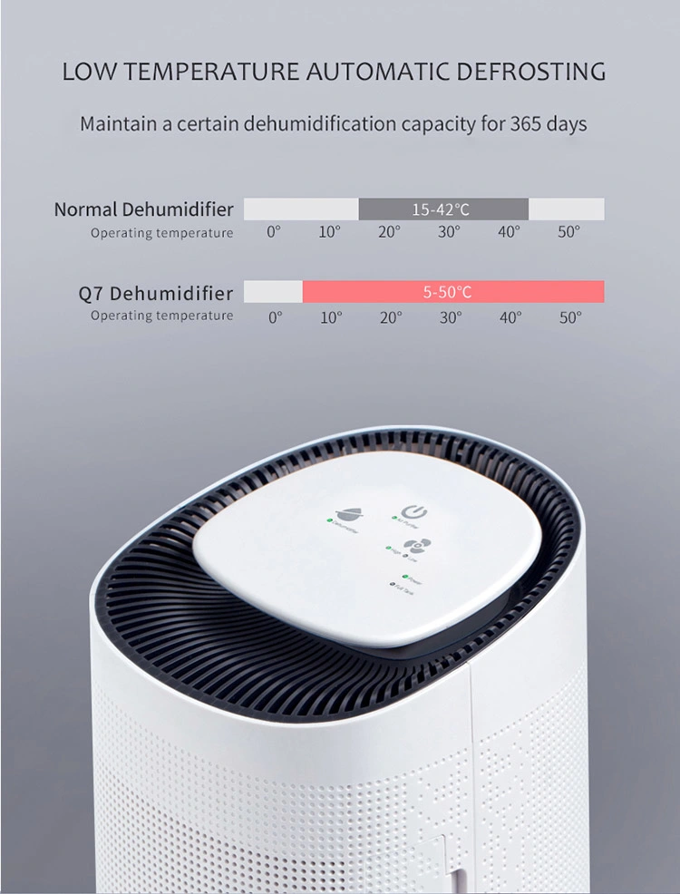 Easy Home Portable Mini HEPA Filter Dehumidifier Air Purifier