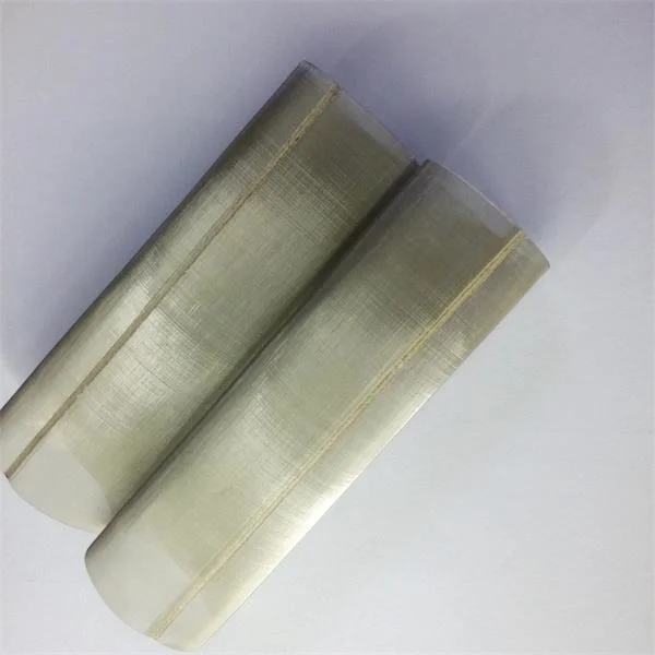 Stainless Steel Mesh Filter Cylinder/Filter Mesh Tube/Filter Cartridge