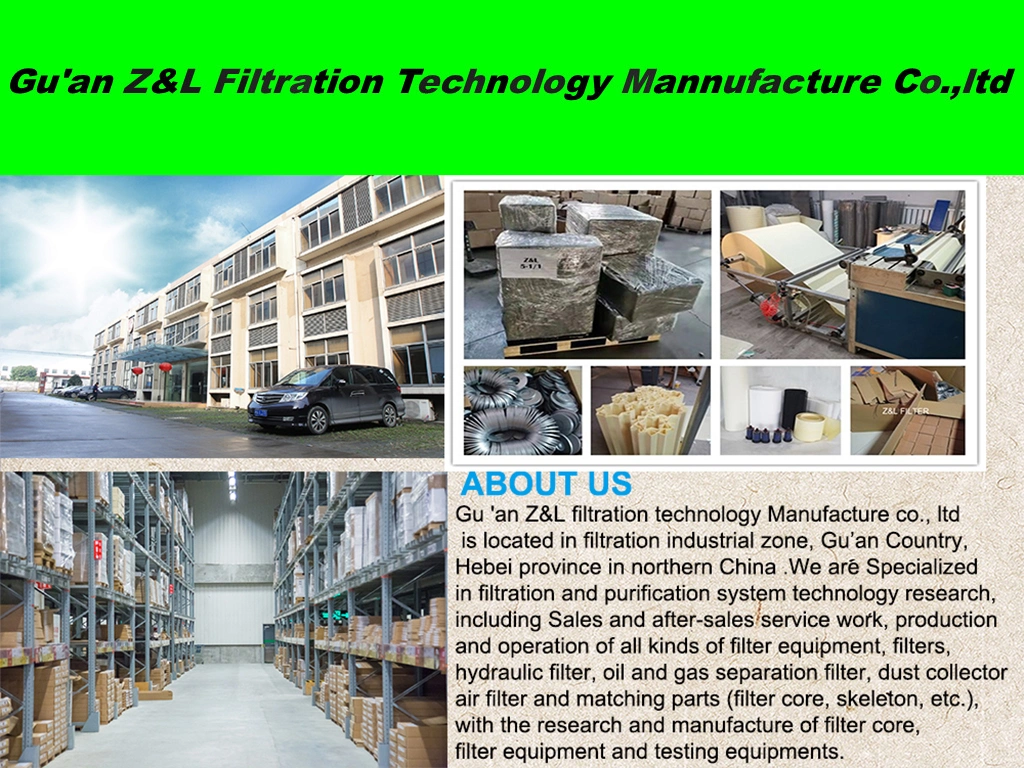 China Factory Z&L Filter Supply Fuel Filter, Spin-on Compactor, Drilling Equipment Fuel Filter Element FF5052