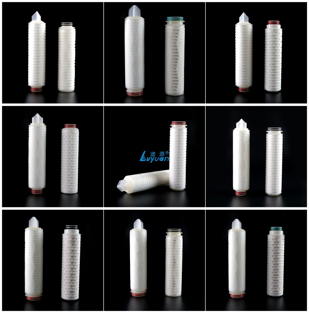 10 20 30 40 Inch Soe/DOE Water Cartridge PTFE Membrane Pleated Filter Cartridge