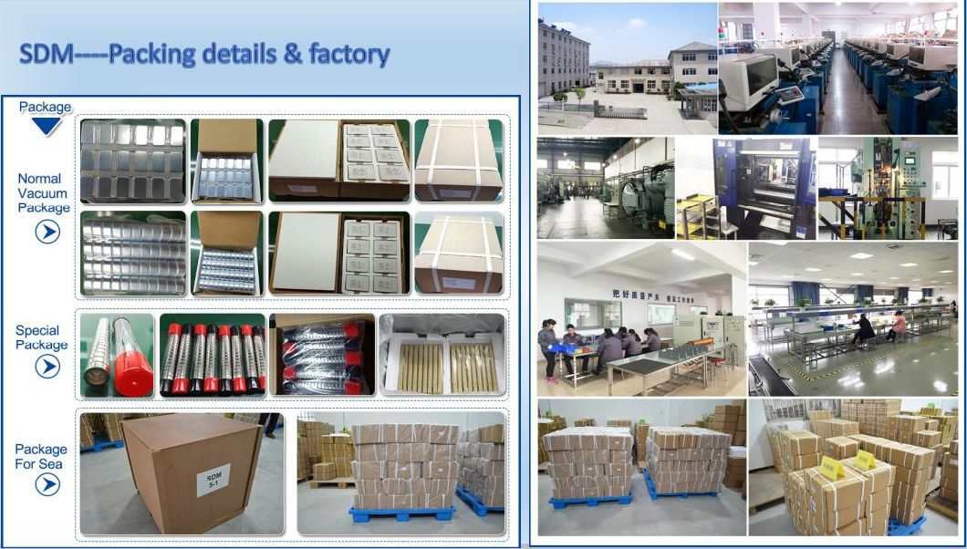 Free Sample Industrial Rare Earth Permanent Istotropic High Solvent Resistance Injection Molding NdFeB/Neodymium Magnet