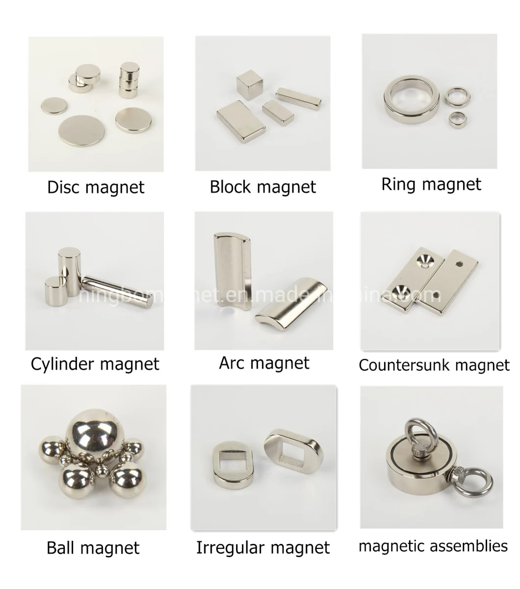 Permanent Neodymium Iron Boron Ring Magnet for Permanent Magnet Motor