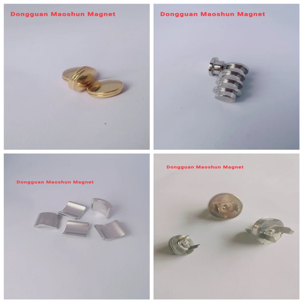 High Performance Neodymium Magnet and Neodymium Magnet for Arc Rotating Handle