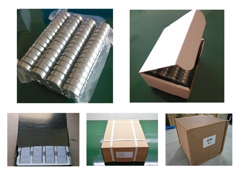17 Years Experience ISO/TS16949: 2009 Certificated Super Strong Neodymium Shuttering Magnet for Precast Concrete
