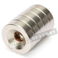 Multipole Magnetization N45 NdFeB Custom Size Ring Neodymium Magnet