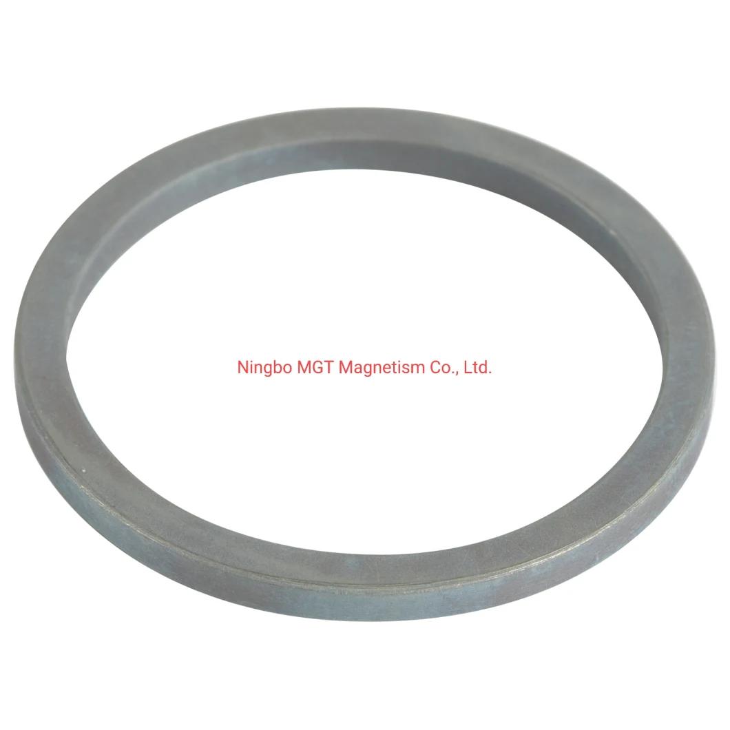 40sh Ring Sintered Magnet Permanent Magnet Neodymium Magnet for It Industry