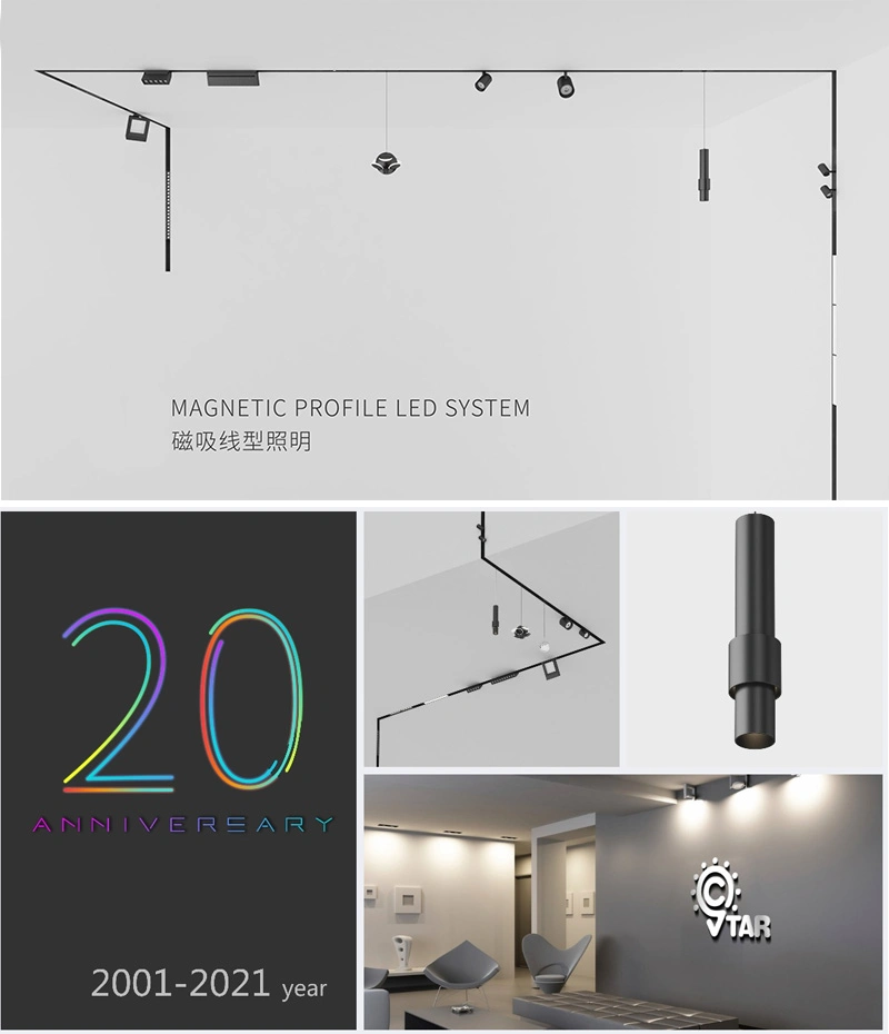 Dali System Black White 48 V Extrusion Unfold Installation Magnetic Rail Track Light