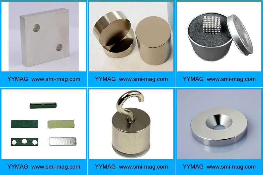 Brushless DC Motor Ring Neodymium Magnet Segement Arc NdFeB Magnets