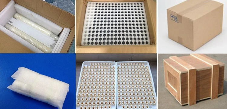 Bullet Shaped Zirconia Ceramic Custom Made Pin Snag High Temperature Supplier