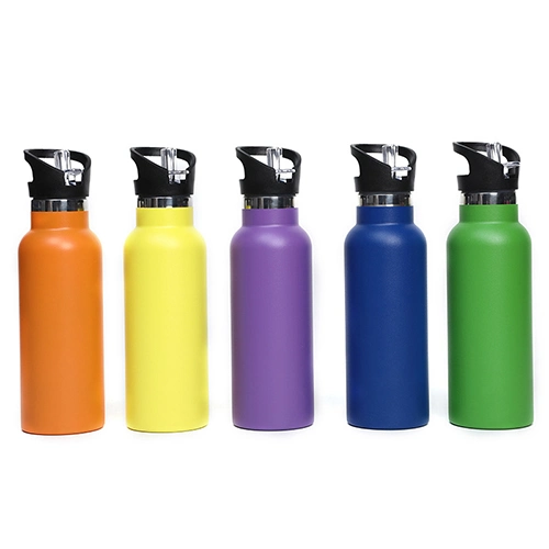 Double Wall Stainless Steel Sports Water Bottle with Straw, Thermos Water Bottle with Handle Lid