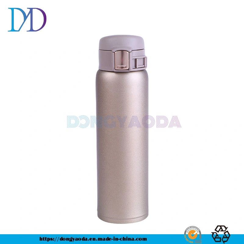 450ml Custom Double Stainless Steel Thermos Thermos Water Bottle