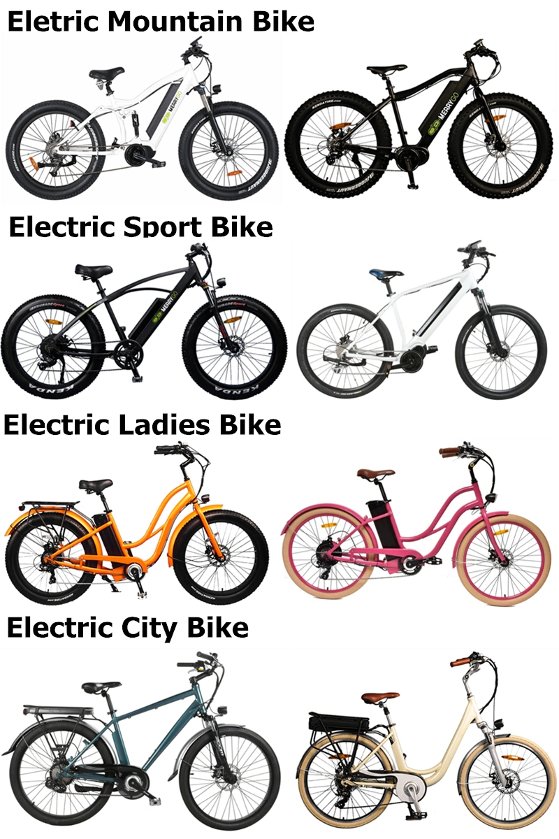 500W/750W Fat Tire Electric Bike Lithium Battery Powered Electric Mountain Bicycle