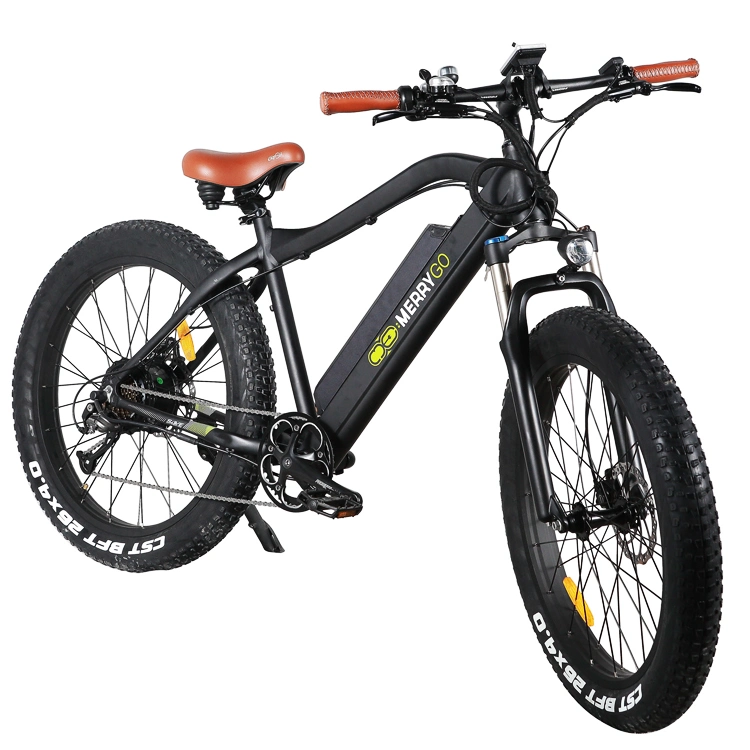 500W/750W Fat Tire Electric Bike Lithium Battery Powered Electric Mountain Bicycle