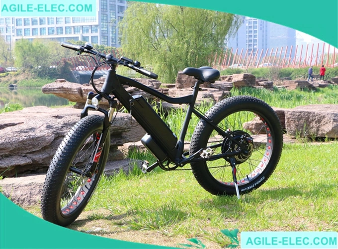 Agl 48V 500W High Powered Fat Tire Electric Bike with Battery