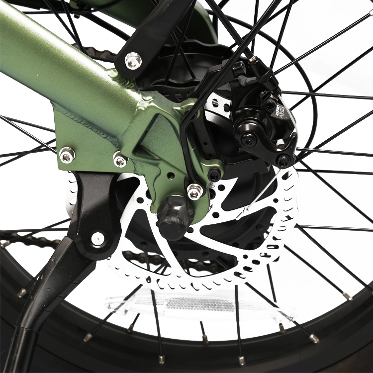 Mini Folding Electric Bike Lithium Battery Powered Bicycle Electric Fat Tire Bike
