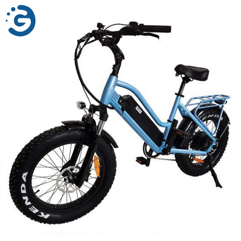 Fashionable Style High Quality Fat Tire Electric Bike 20*4 Inch Fat Bike