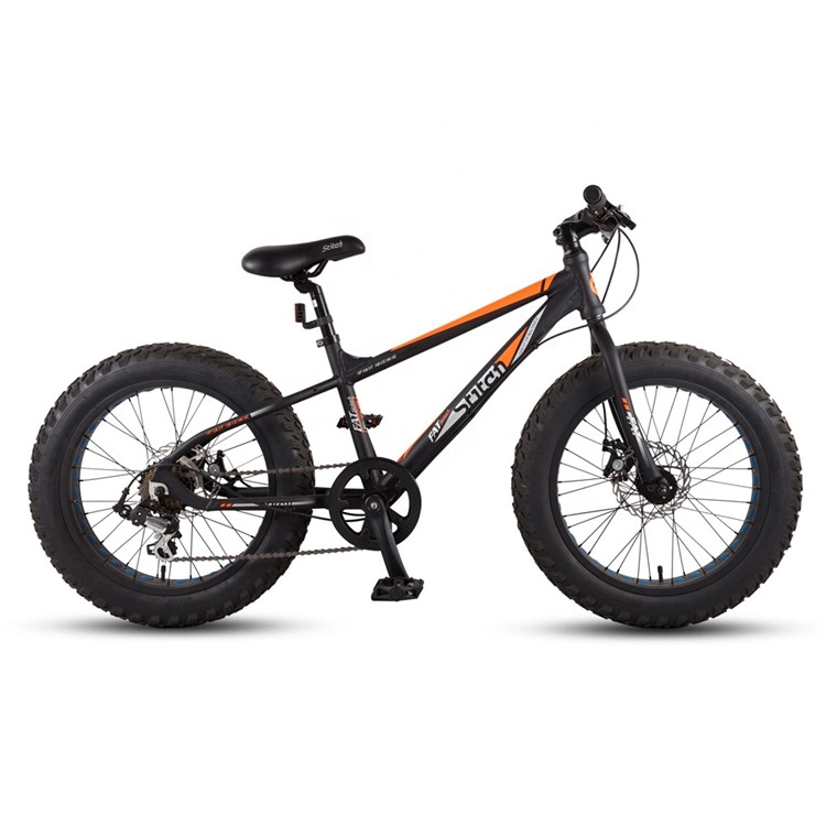 OEM ODM Fat Tire Bicycle Mountain Bike, Fat Tyre Bike Cycles for Men, 20 Inch Fat Tire Snow Bike Moutain Bike