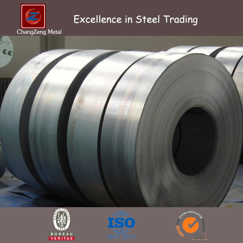 High Quality Prepainted F Galvanized Steel Coil (GI, PPGI, PPGL Steel)