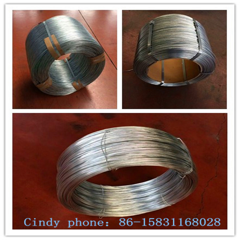 Hot Dipped Galvanized Steel Wire 20kg-1000kg