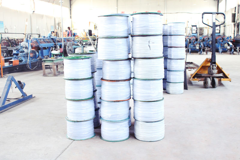 Quality Assurance 7*19 304/316 Stainless Steel Wire Rope