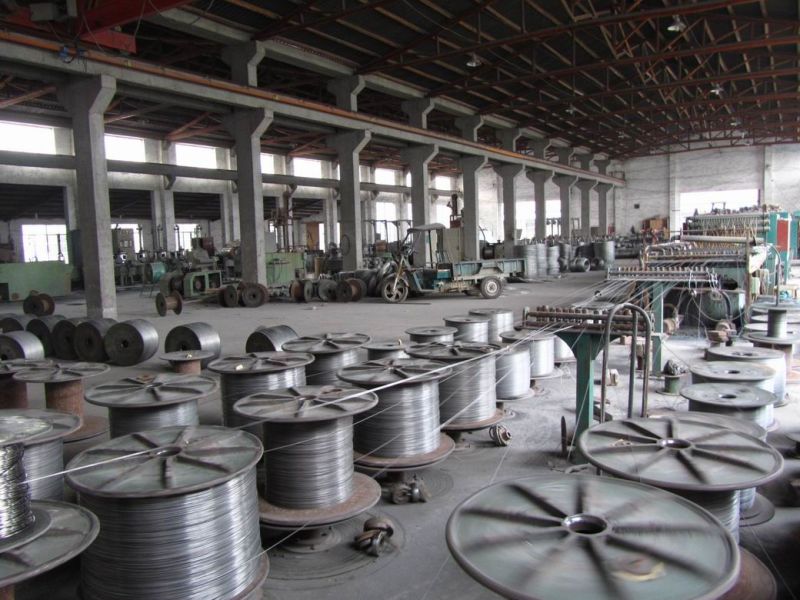 7X7 Galvanized Steel Wire Rope, Steel Cable for Architecture, Lifting