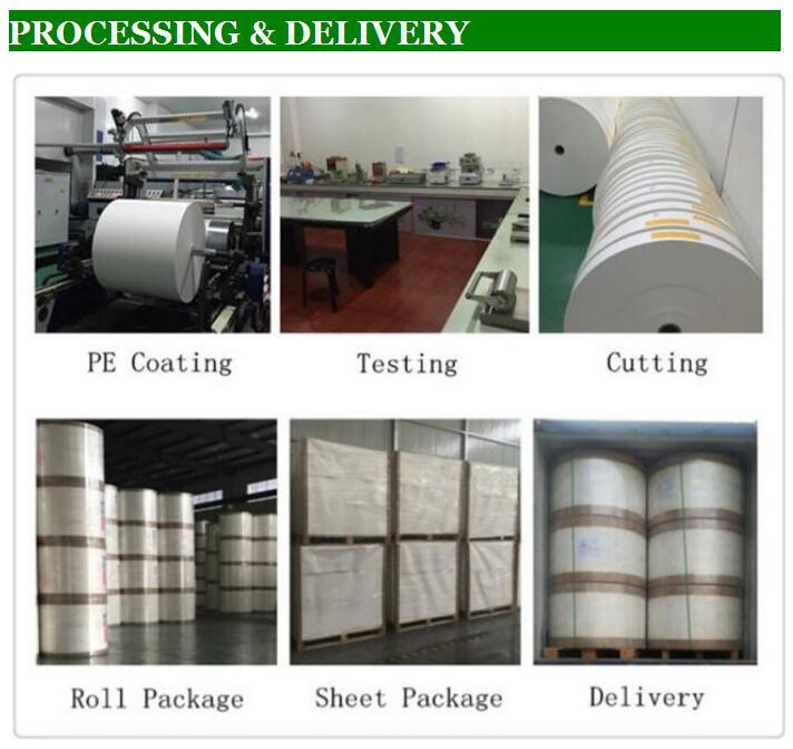 Paper Cup Fan Coated PE, Paper Cups Raw Materials PE Coated Paper in Roll
