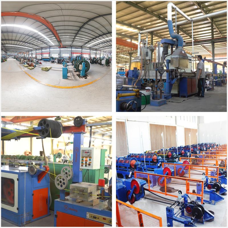 China Factory PVC PU Coated Steel Wire Rope Galvanized Steel Rope Steel Cable