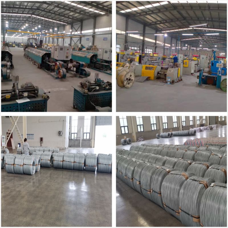 Steel Wire Rope Galvanized, Stainless, PVC/PU/Nylon Coated