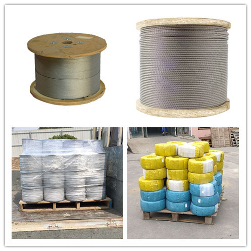 High Carbon Ungalvanized/ Galvanized / PVC-Coated/ Stainless Steel Wire Rope